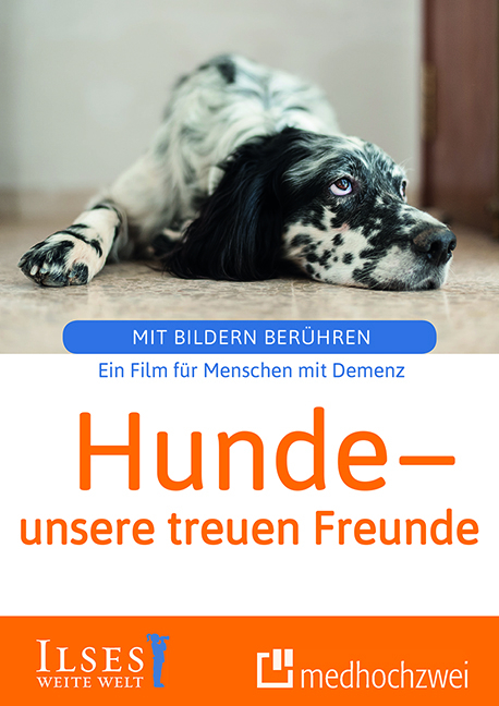 Hunde - unsere treuen Freunde